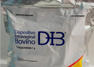 DIB Dispositivo Intravaginal Bovino